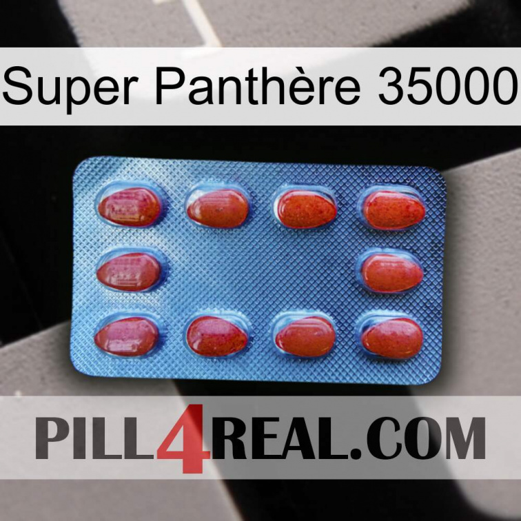 Super Panthère 35000 06